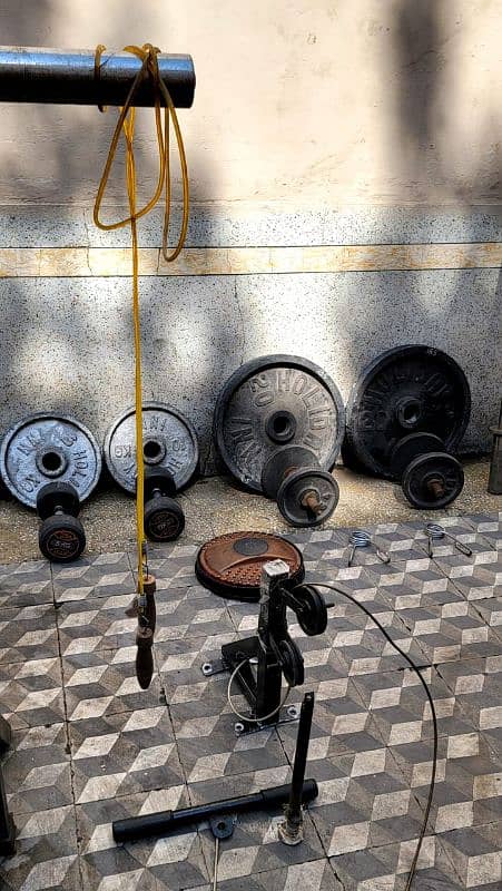 Home Gym Equipments 9