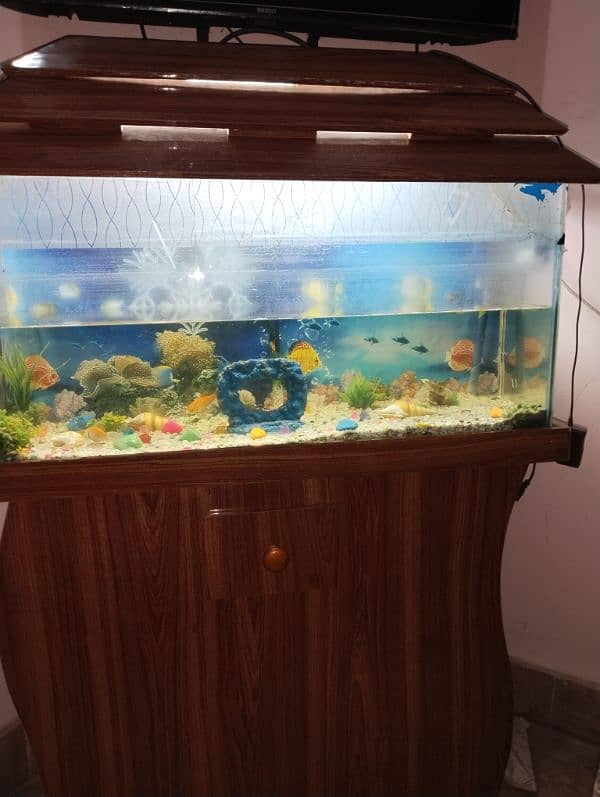 aquarium and fishes for sale with All accessories 0