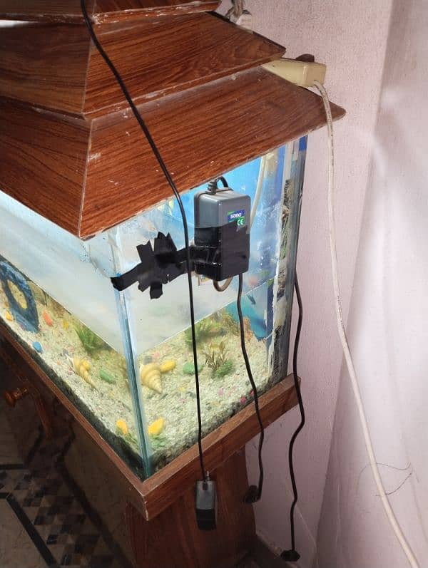 aquarium and fishes for sale with All accessories 4