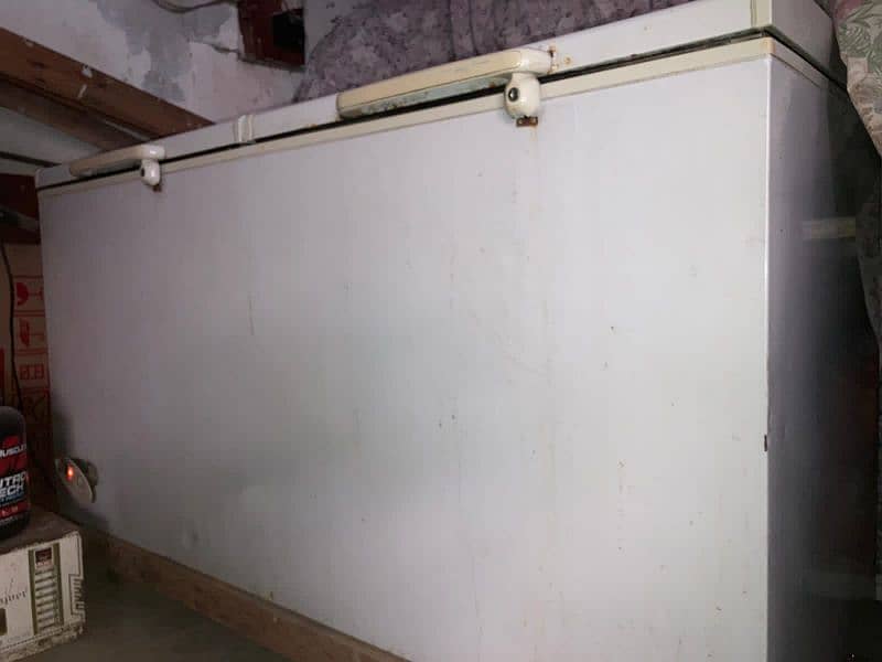 D Freezer Double Doors cooling/Copper compressor 3