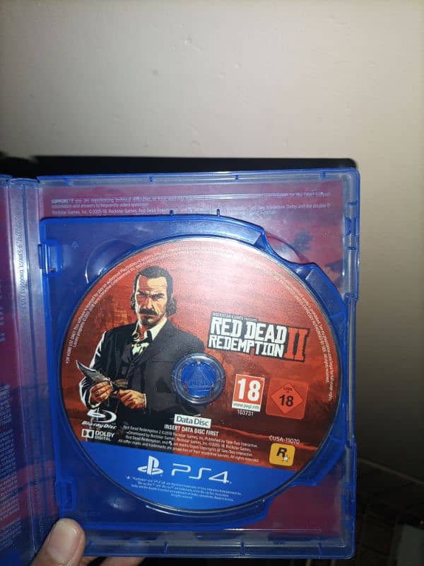 Red Dead Redemption 2 (RDR 2) PS4 1