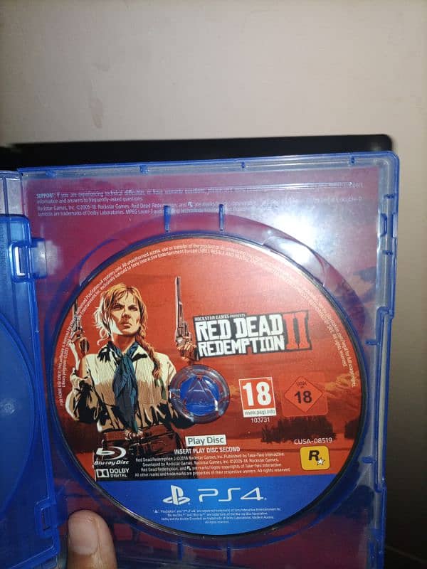 Red Dead Redemption 2 (RDR 2) PS4 2