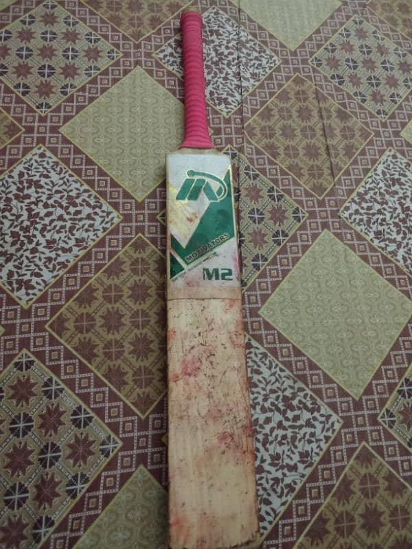 English Willow Hard ball Cricket professional bat 1