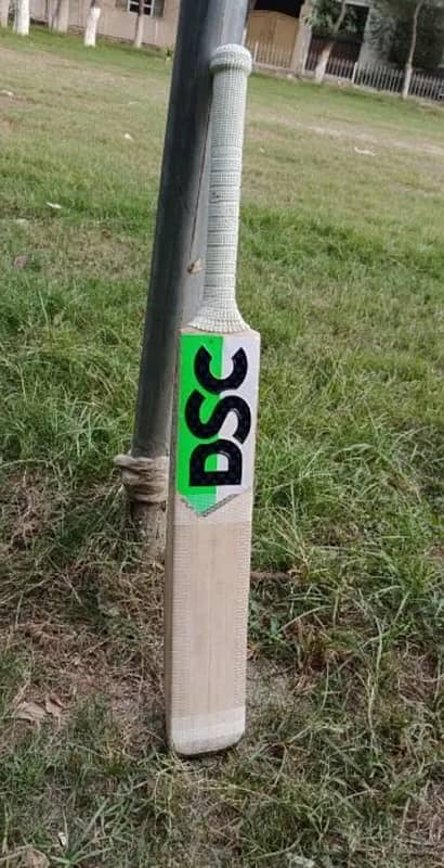 DSC pure English Willow hard ball cricket bat 2