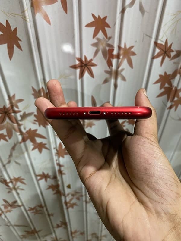 iphone 11 red color 64gb 5