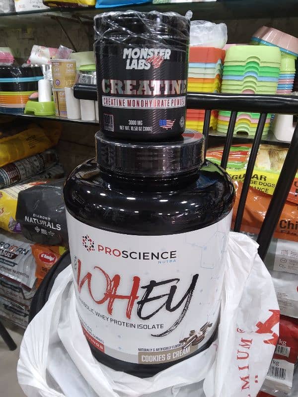 whey protein supplements 6