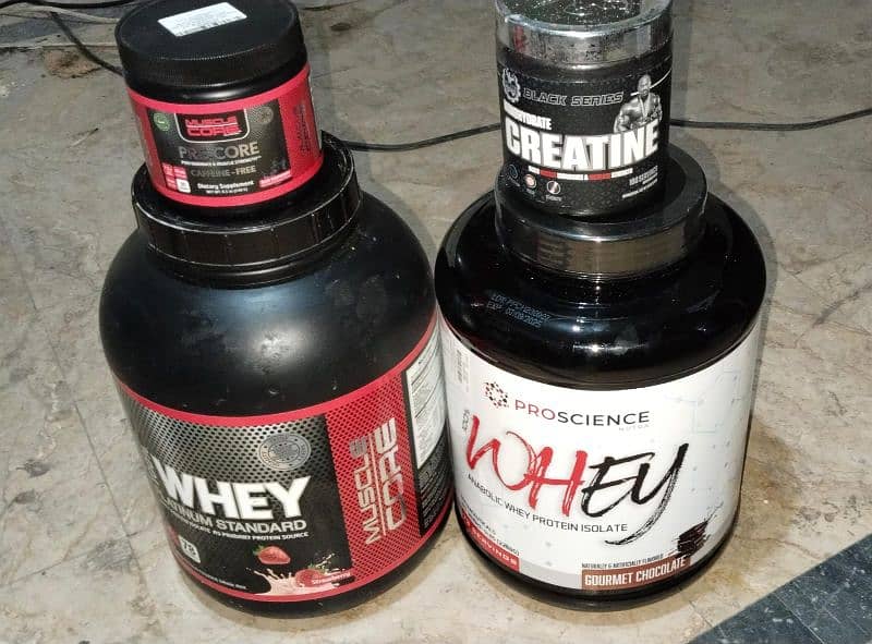 whey protein supplements 7