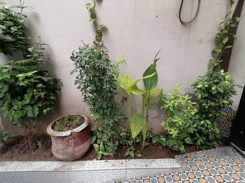 Tripple Storey 3 Marla House Available In Marghzar Officers Colony For sale 4