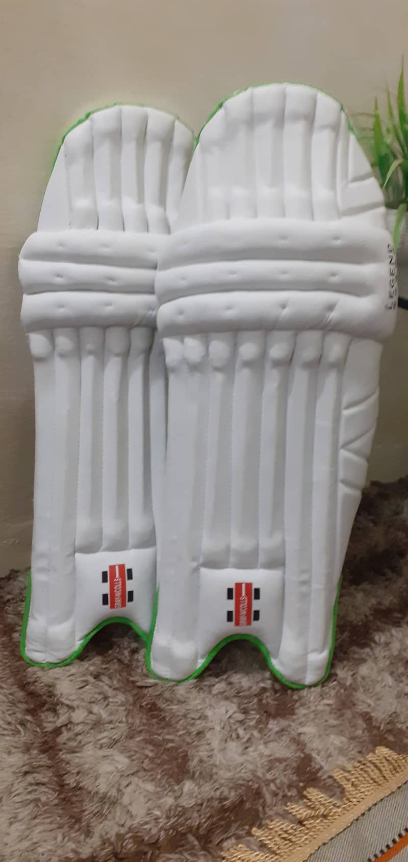 Cricket kit bag+Bats+Grey Nicolls pad+Nylon cricket Net 10×100. . . . . 24 0