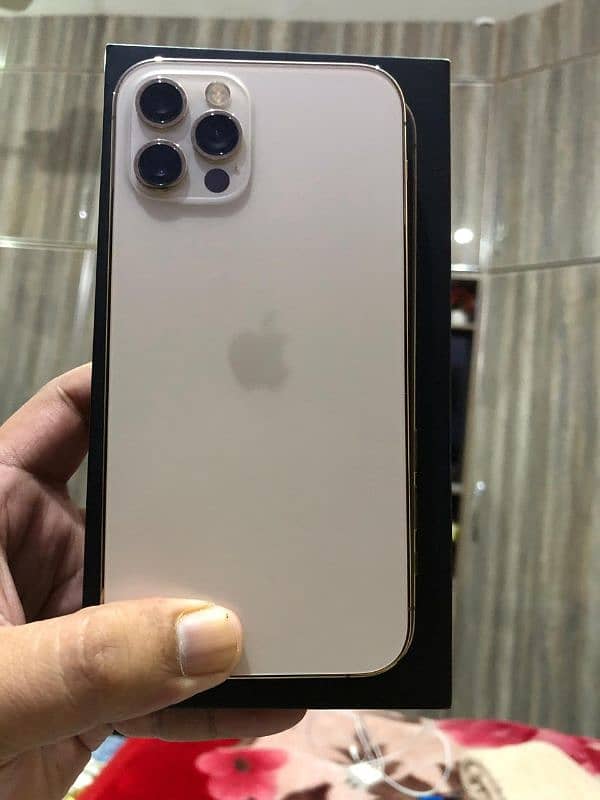 iphone 12 pro /  128 gb 0