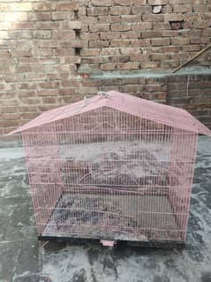 Birds cage