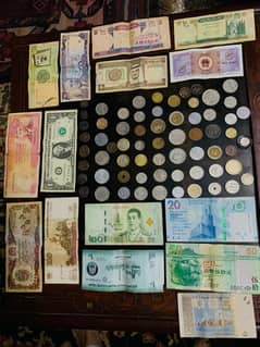 currency collection notes and coins