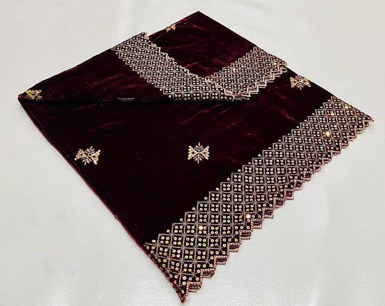 Women Shawl 3