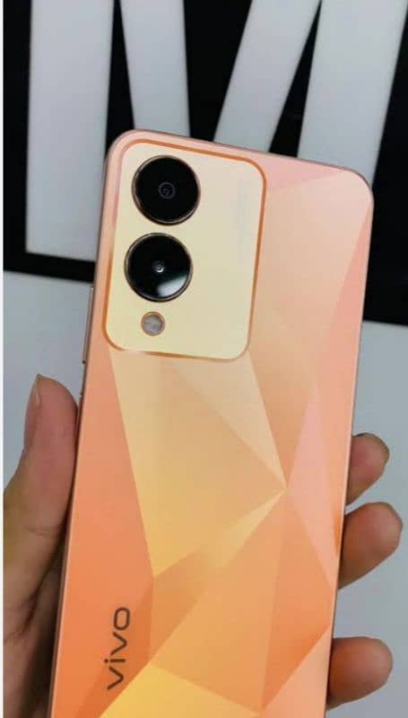 Vivo y17s 0