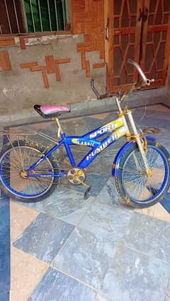 blue colour bicycle