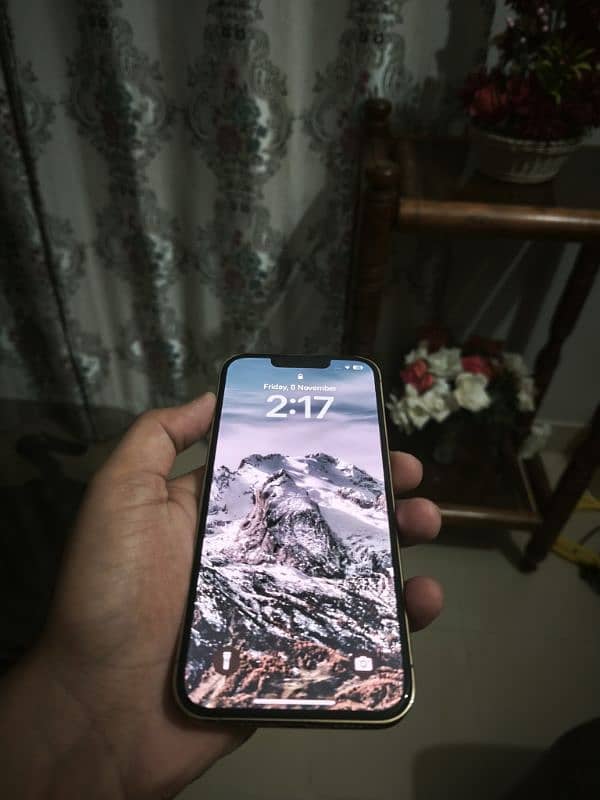 iphone 13 pro PTA approved 1