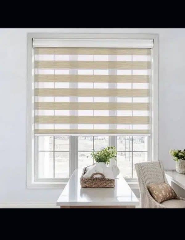 window Roller Blinds 11