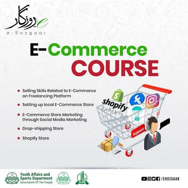 learn E commerce free and also get monthly salary 0