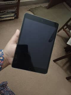 Ipad mini Used