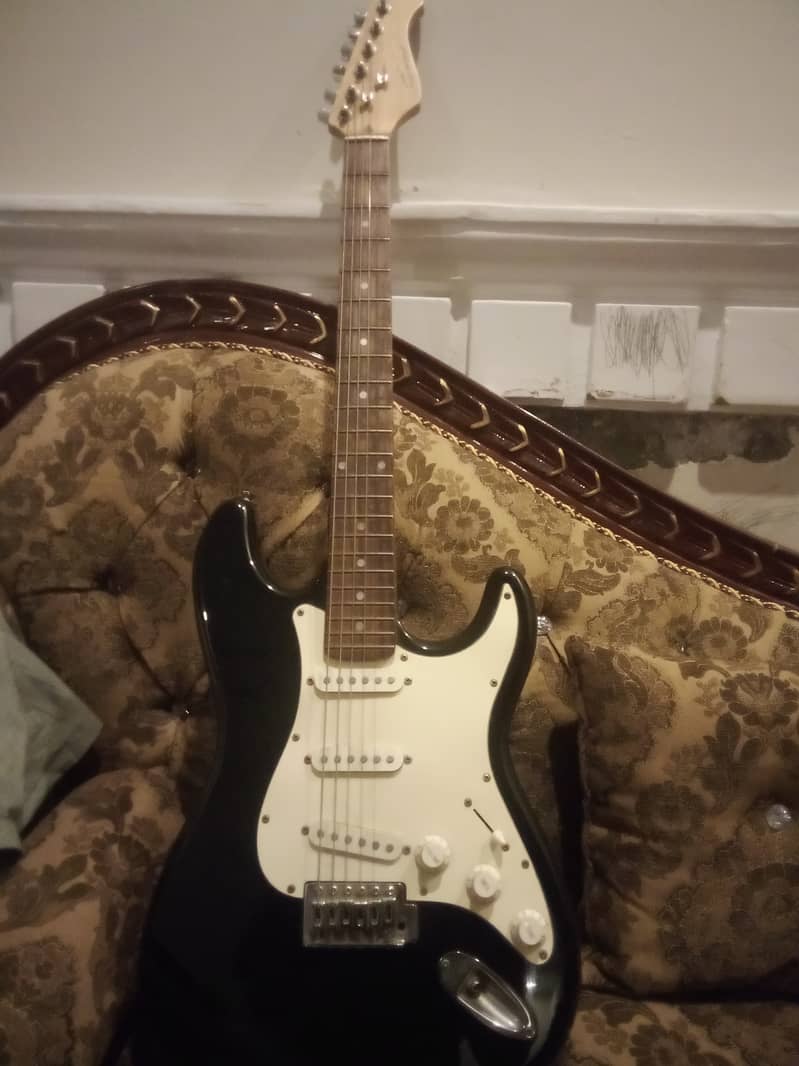 Professional Electric guitar 0