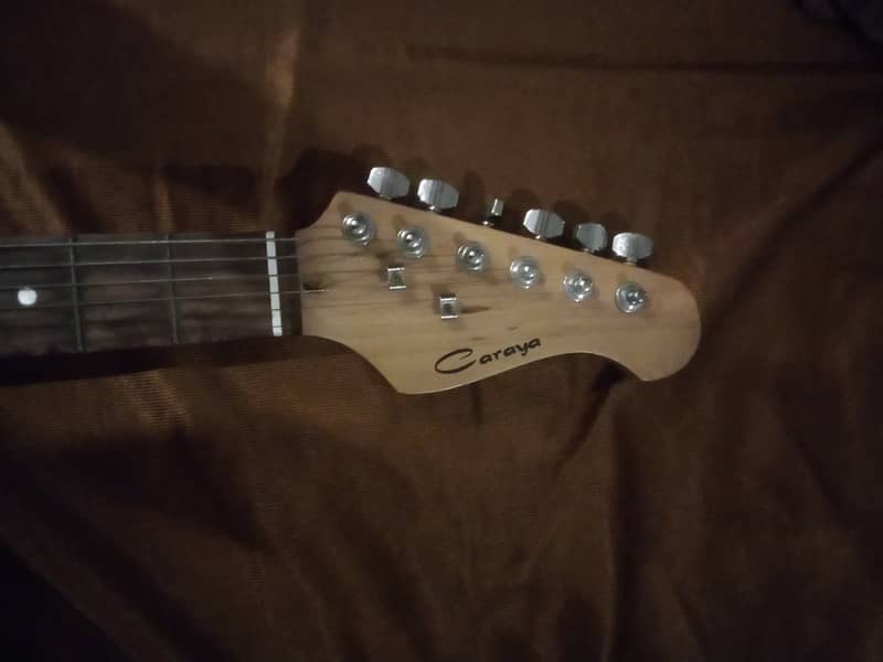 Professional Electric guitar 1