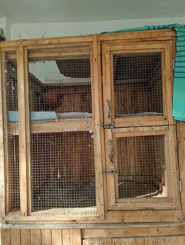 New professional and high quality wooden material cage of Cats 1