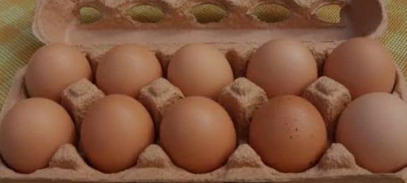 desi eggs 1