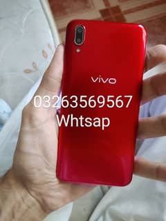 vivo