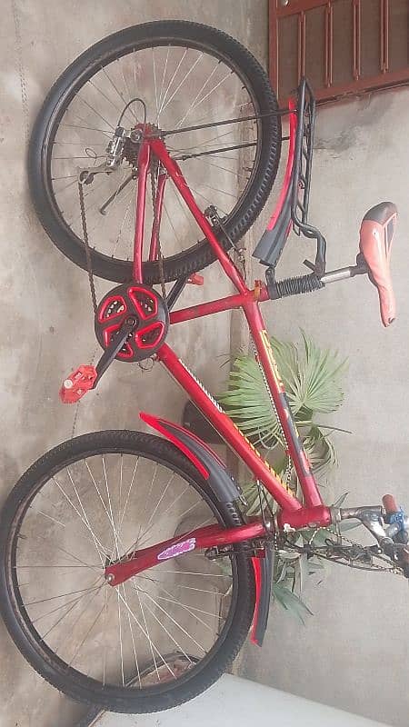 heavy bicycle 1