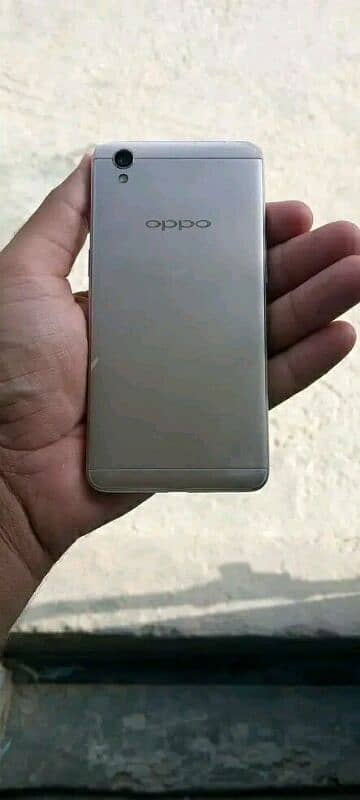 Oppo 37 1