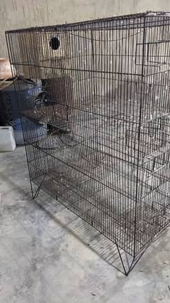 master size cage breeding purpose box option