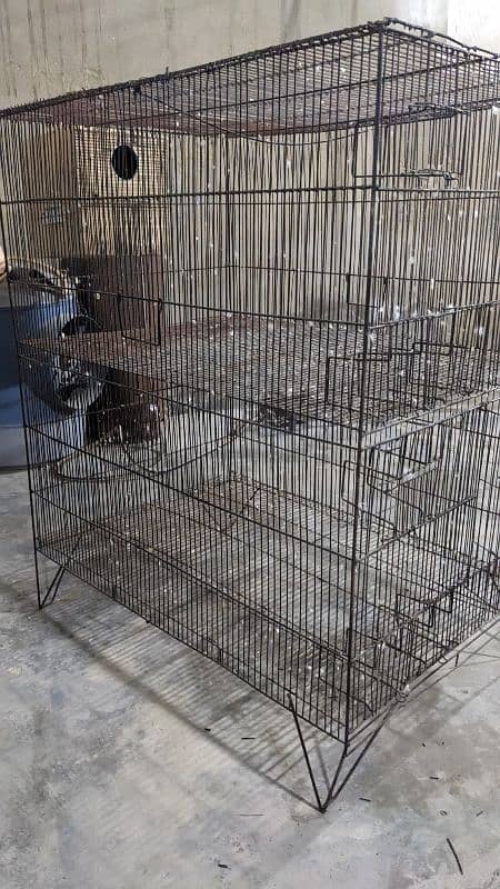 master size cage breeding purpose box option 1