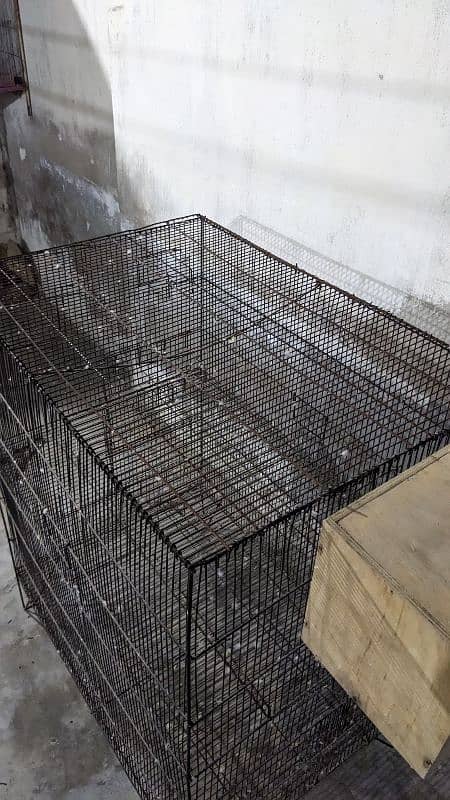 master size cage breeding purpose box option 3