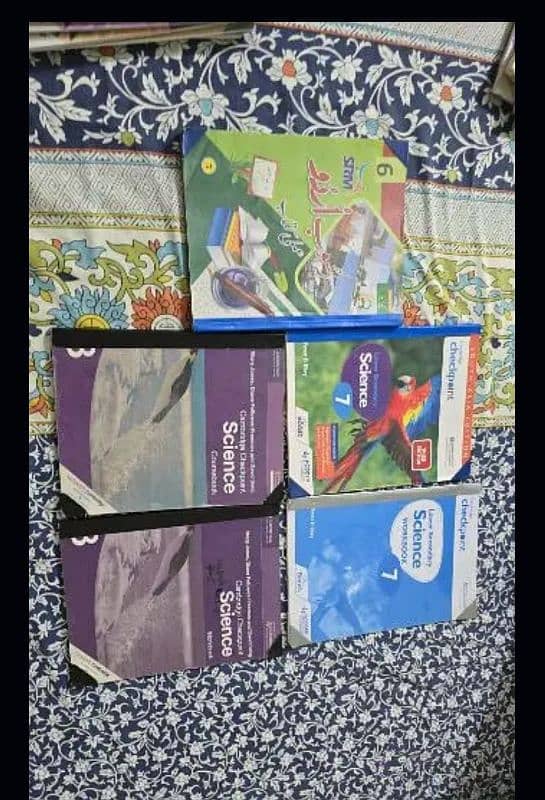 Grade 6 and 7 books for free 4