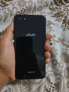 Vivo