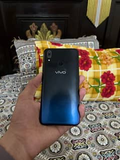 vivo