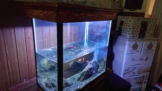 Fish Tank Aquarium (read ad)