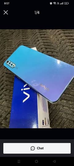 vivo