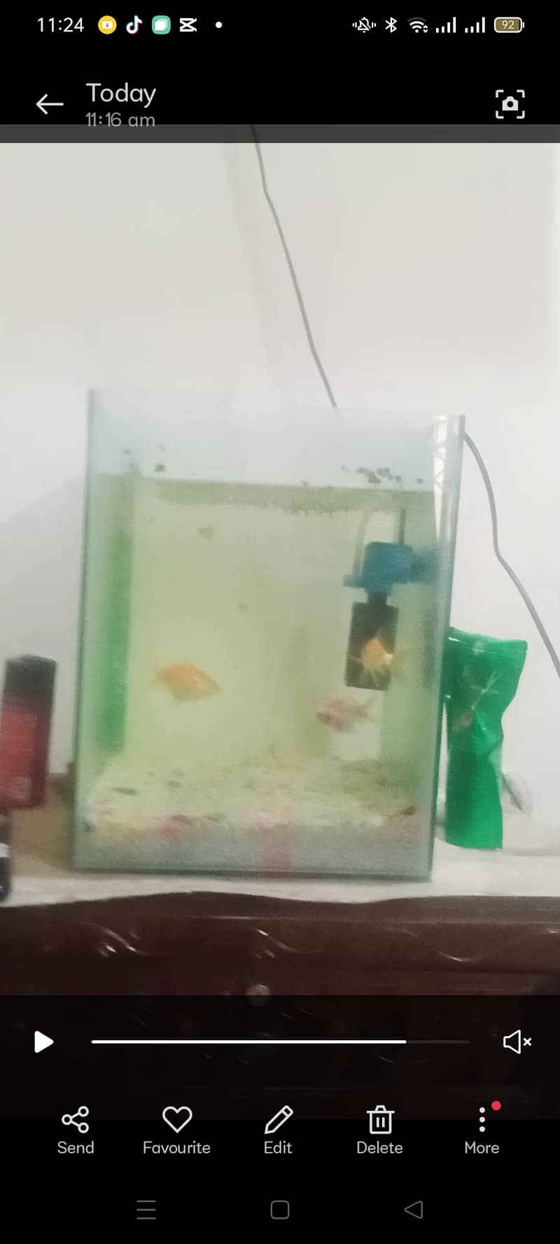 Goldfishes with aquarium and filter 3