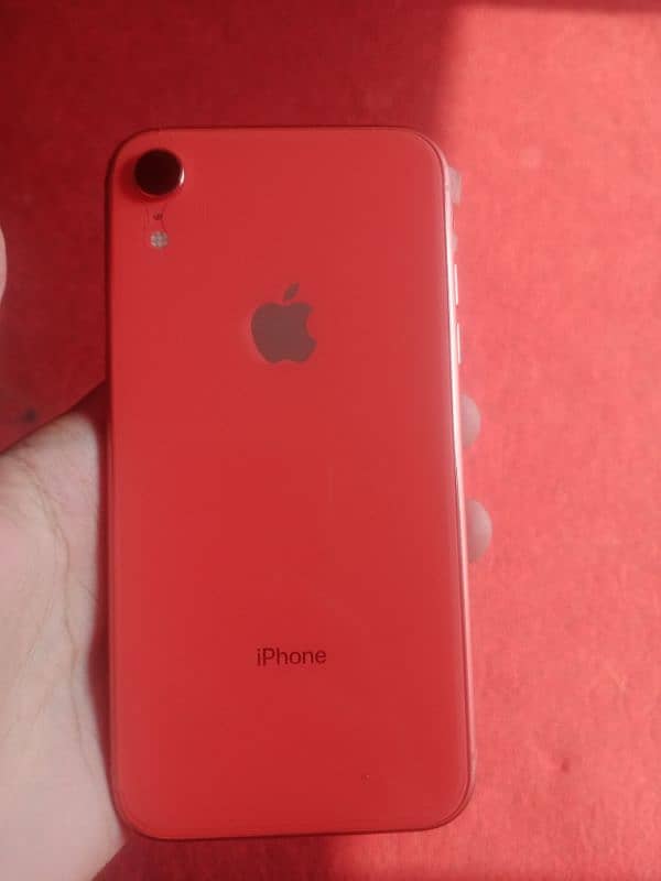 Iphone XR 0