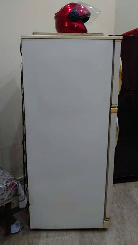 waves medium size fridge 2