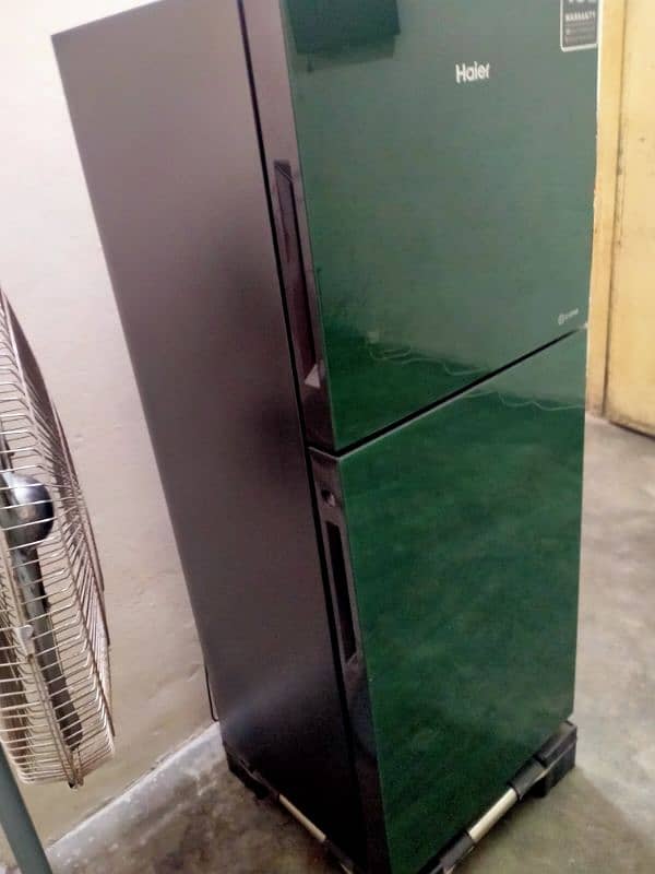 Haier Refrigerator HRF-246 E-Star 1