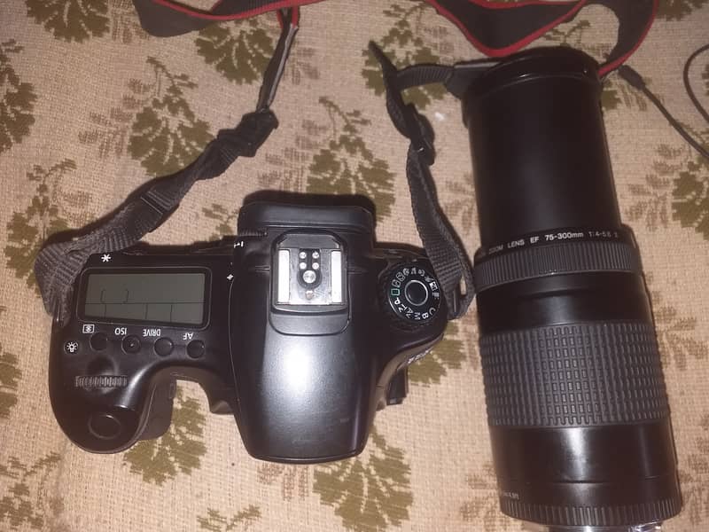 Canon 60D Dslr with 75 300 lens 6