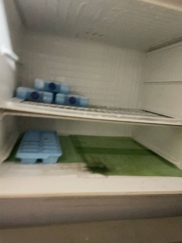 pell fridge 0