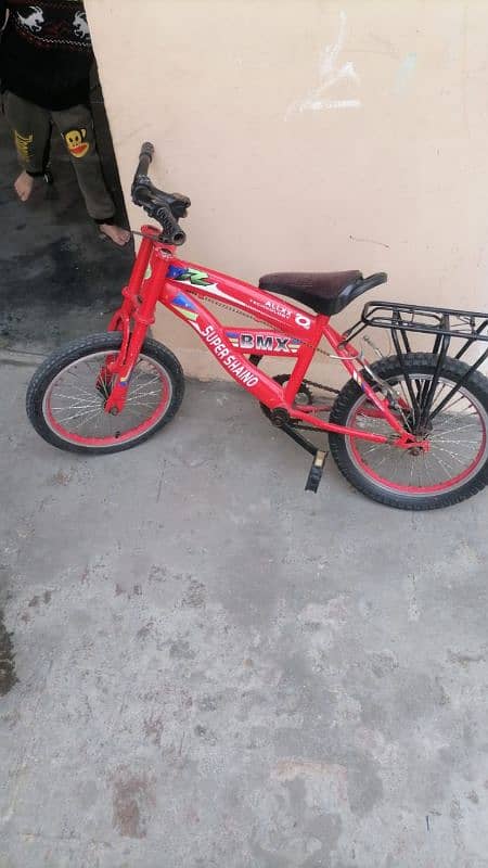 for 5to10years old child cycle 8