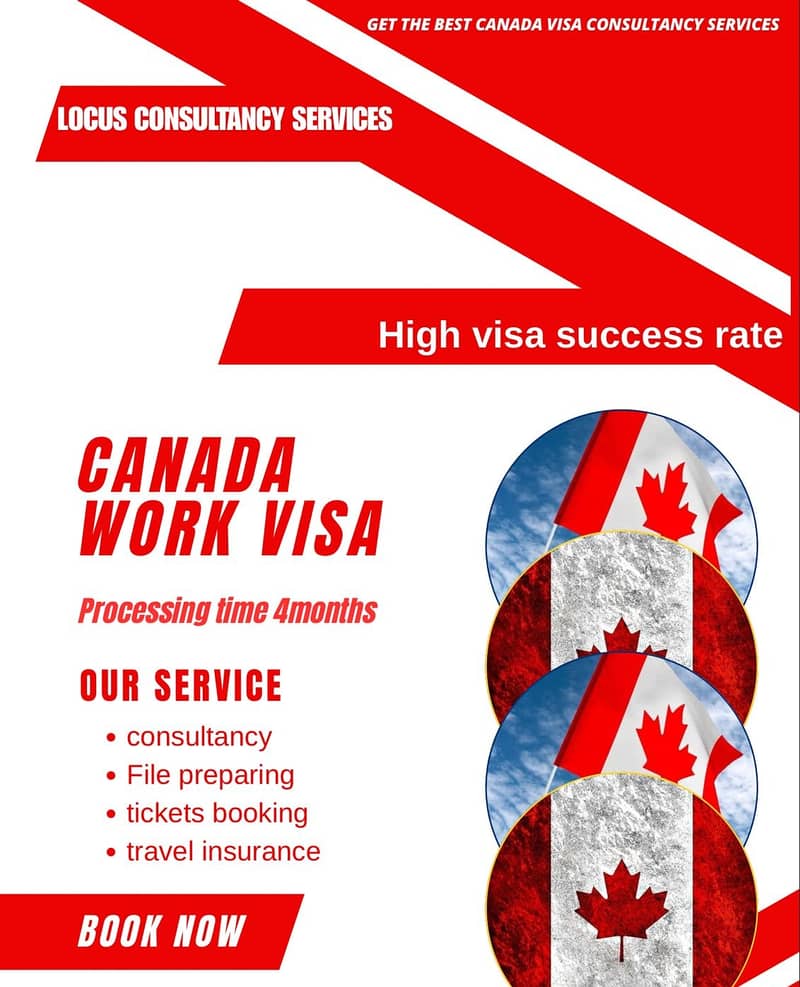 Visa consultancy 0