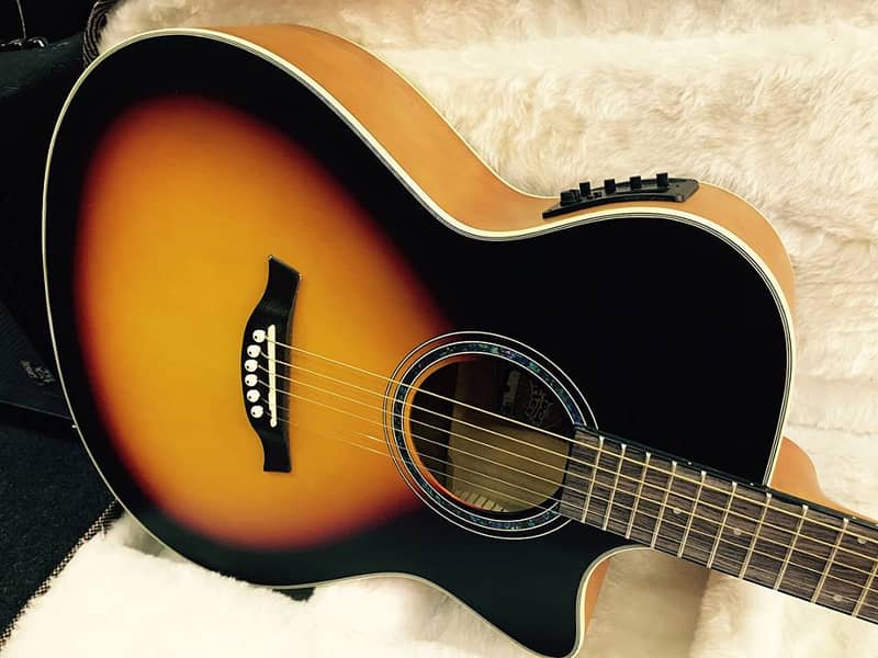 Tagima Woodstock Series TW 29 Semi Acoustic Guitar 4