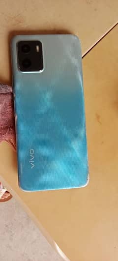 vivo