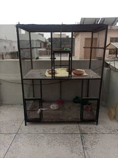 Birds cage