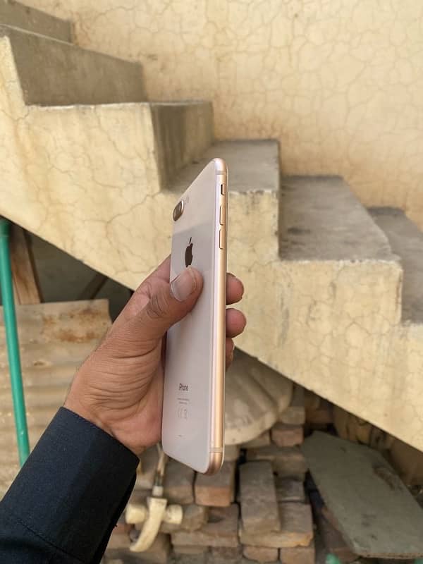 8 Plus (PTA Approved) 0